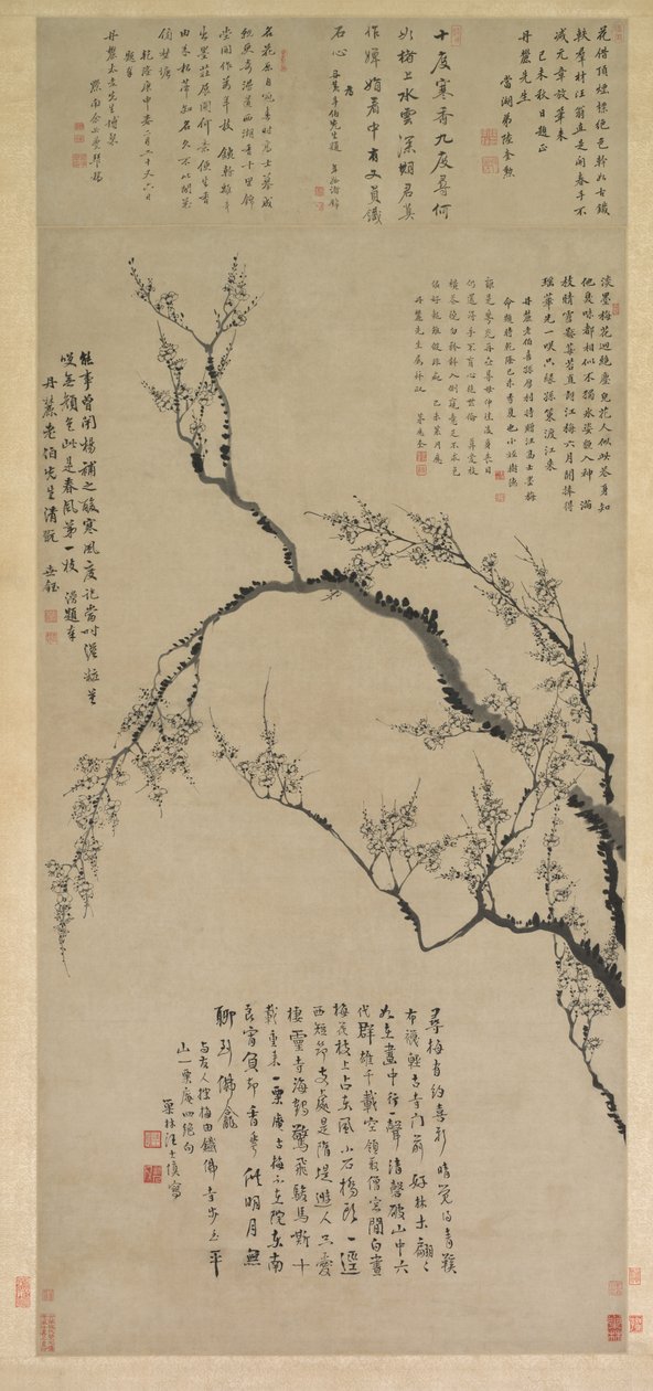 Plommeblomster, 1747. av Wang Shishen