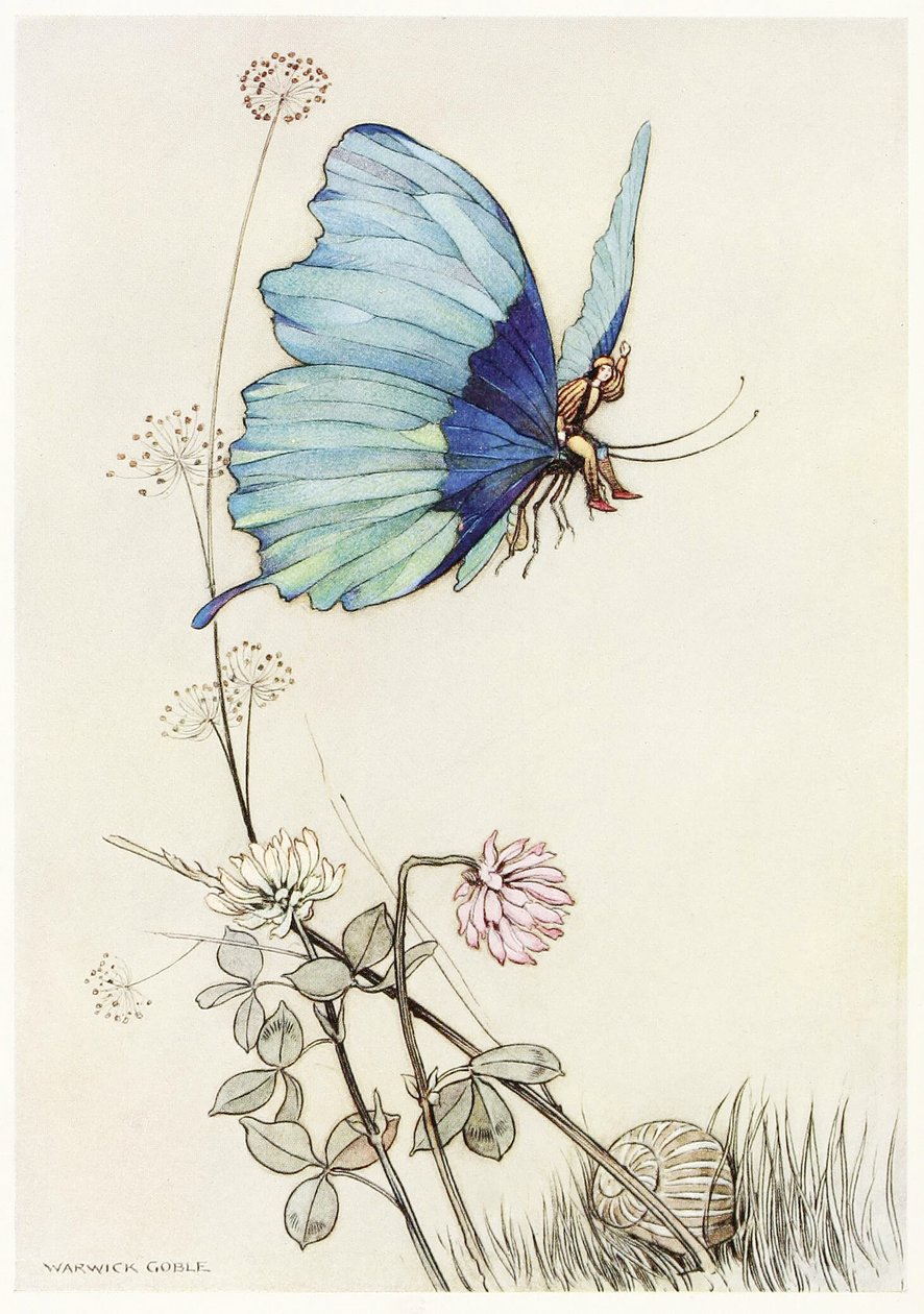 The Butterfly Took Wing, og montert opp i luften med lille Tom på ryggen, fra The Fairy Book, pub. 1913 av Warwick Goble