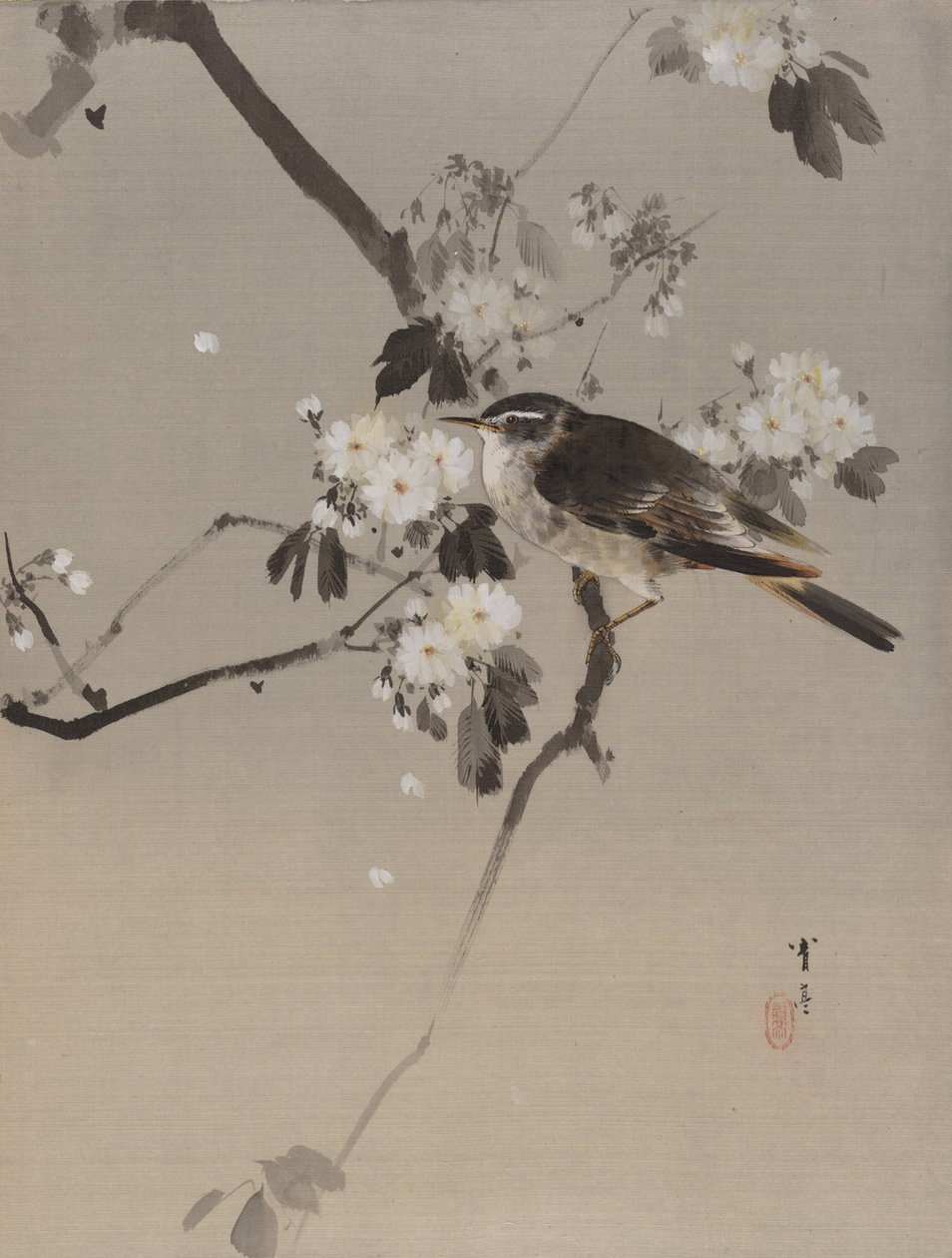 Fugler på en blomstrende gren, ca. 1887. av Watanabe Seitei