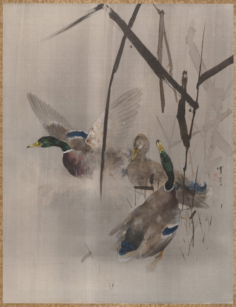 Ducks in the Rushes, ca. 1887. av Watanabe Seitei