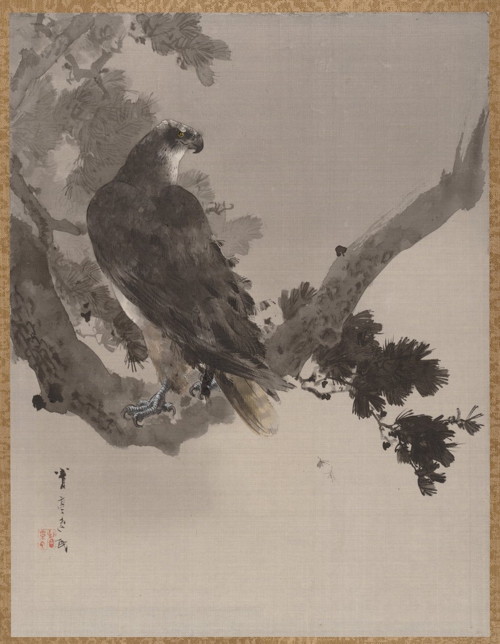Eagle in a Tree, ca. 1887. av Watanabe Seitei