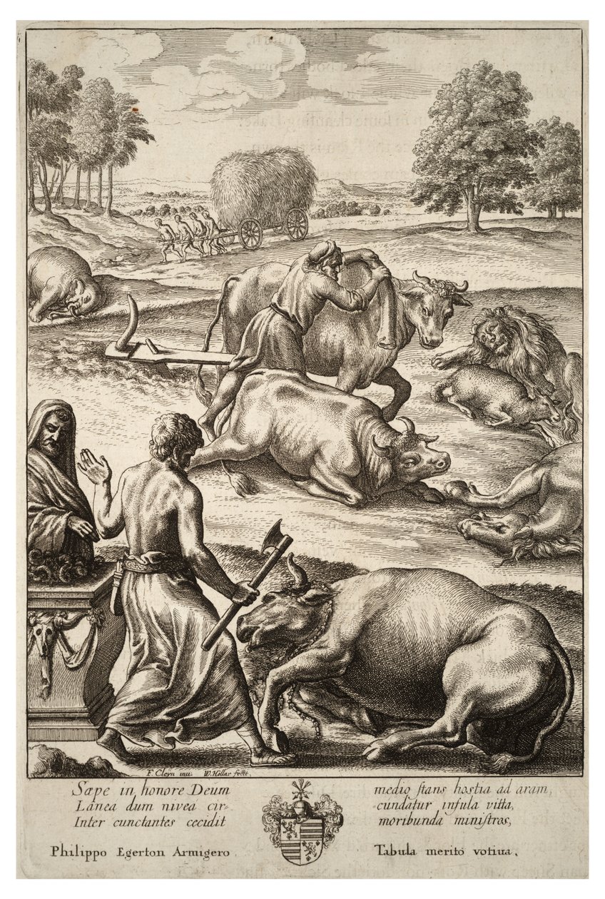 Storfeepest. Stat 2 av Wenceslaus Hollar