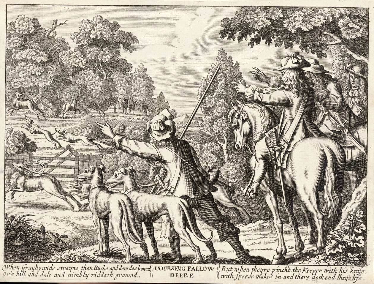 Coursing dådyr av Wenceslaus Hollar