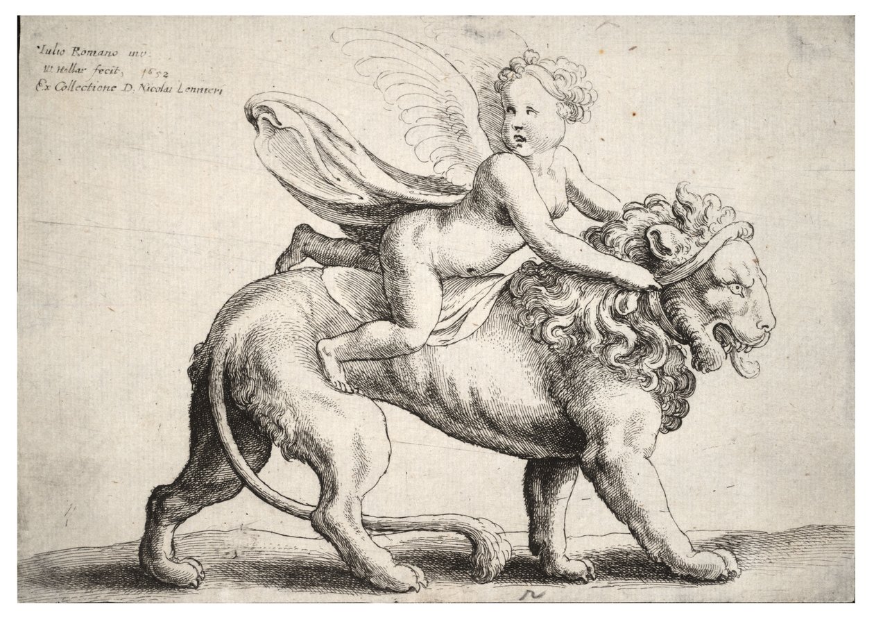 Amor på en løve, etter Giulio Romano av Wenceslaus Hollar