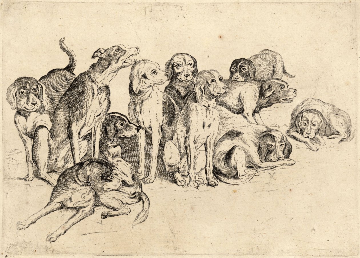 Elleve hunder av Wenceslaus Hollar