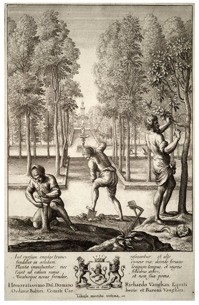 Hagearbeid. Stat 1 av Wenceslaus Hollar