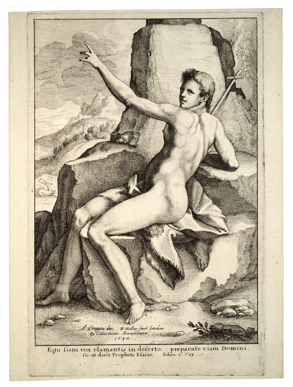 Johannes døperen. Stat 2 av Wenceslaus Hollar