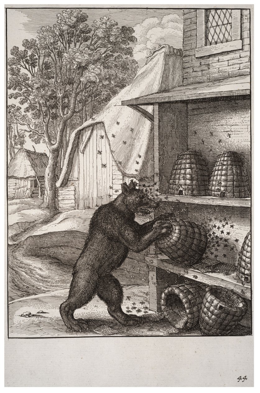 Bjørnen og honningen av Wenceslaus Hollar