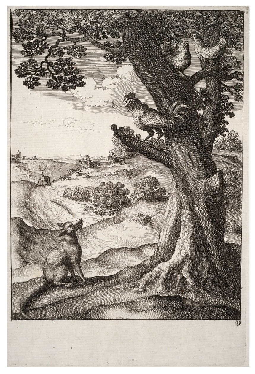 Reven og hanen av Wenceslaus Hollar