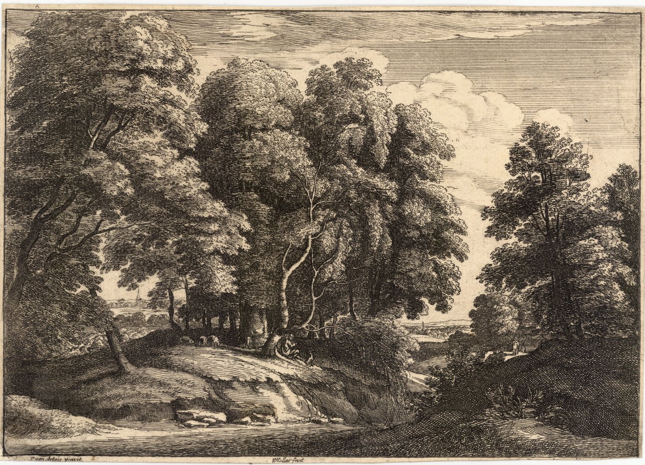 Hyrden i skogen av Wenceslaus Hollar