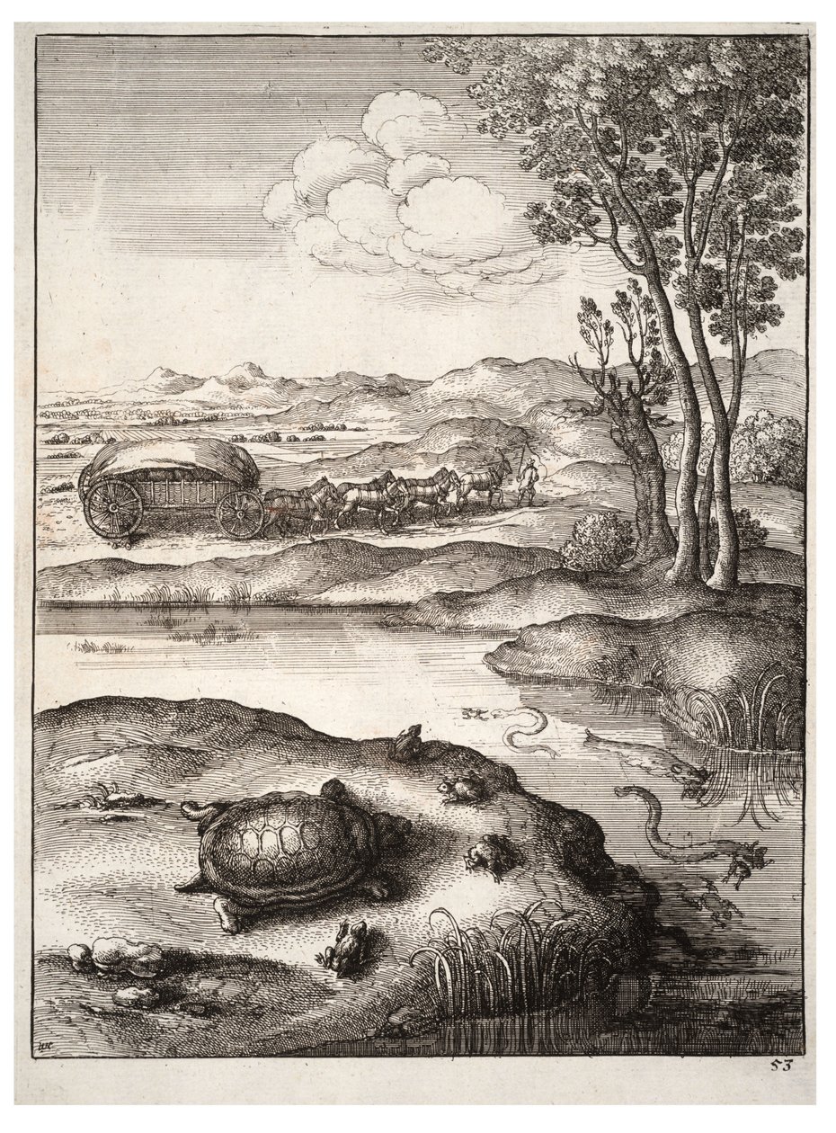 Skilpadden og froskene av Wenceslaus Hollar