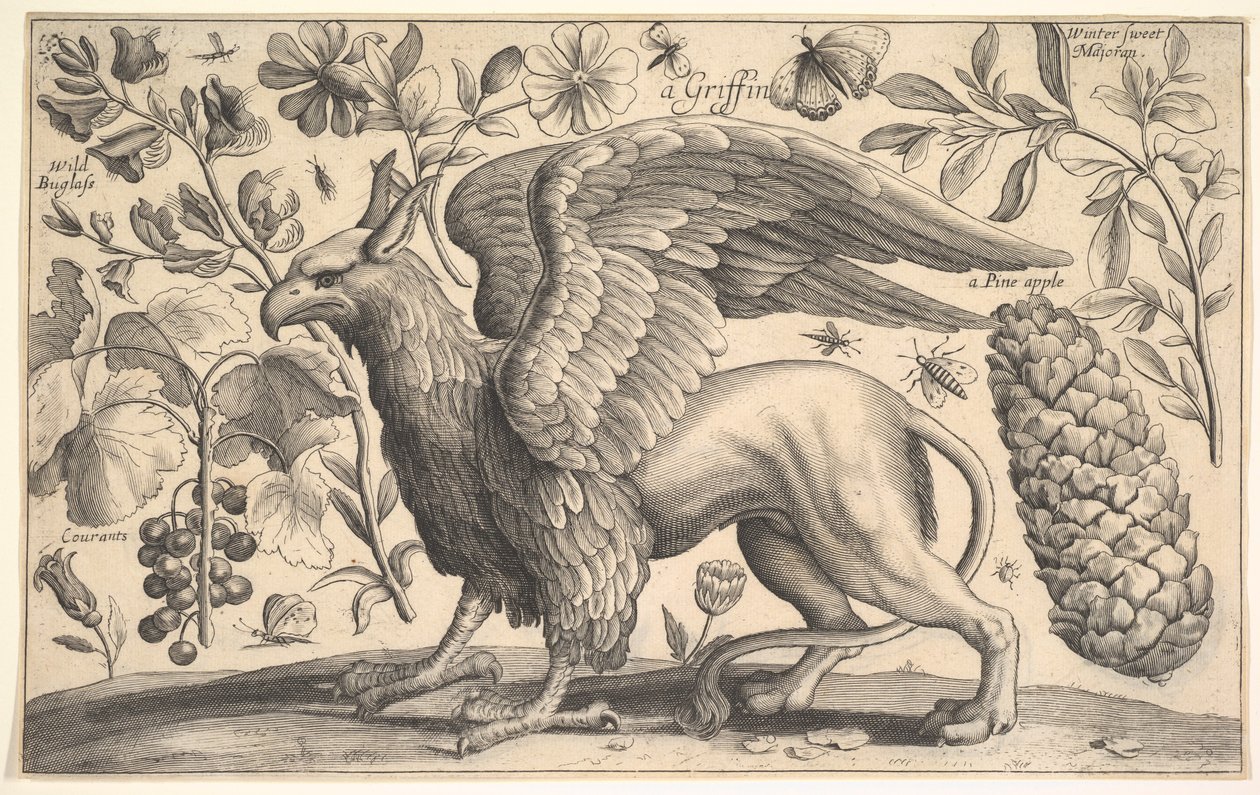 A Griffin, 1625-77. av Wenceslaus Hollar