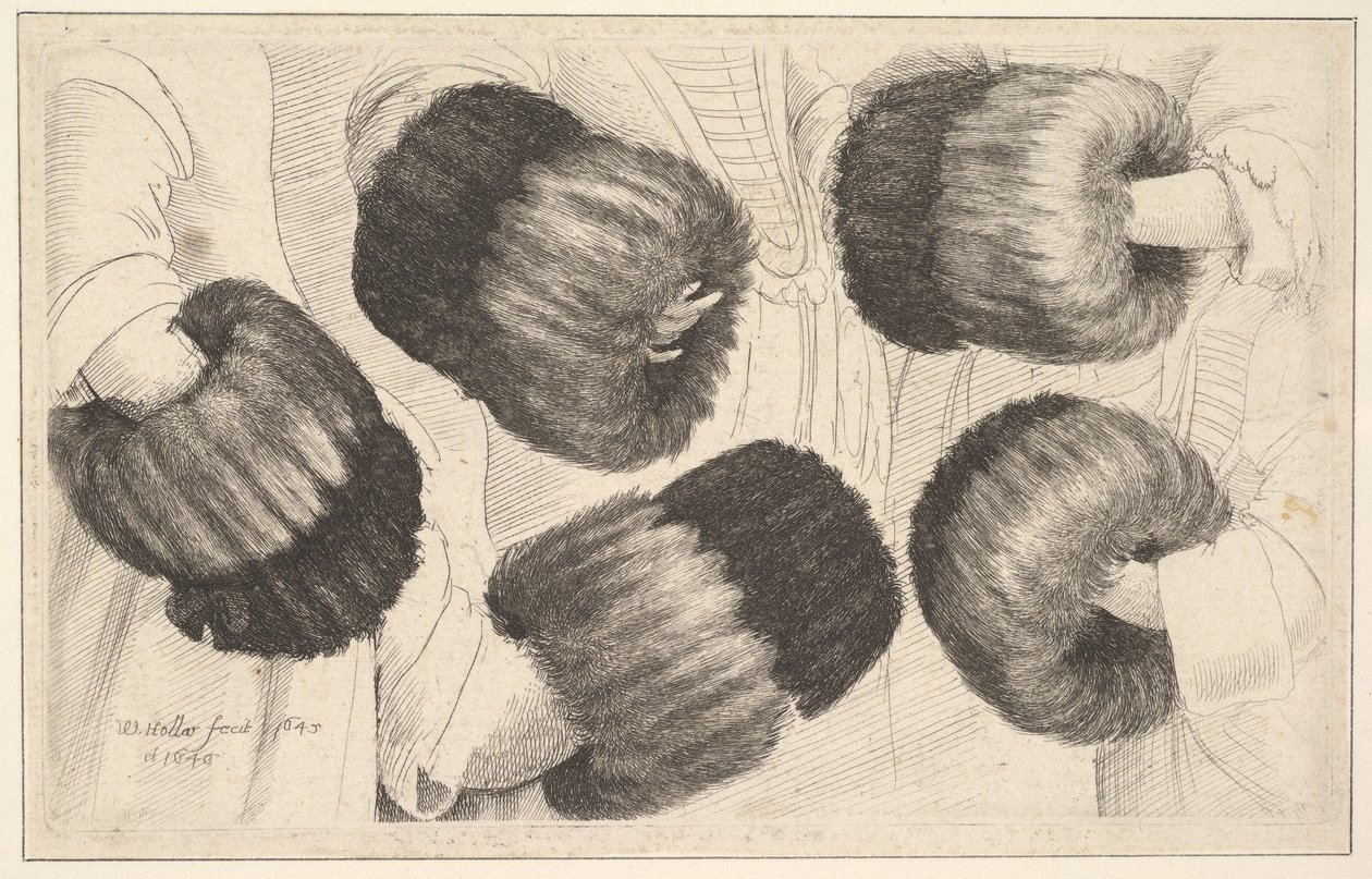 En muff i fem visninger, 1645-46. av Wenceslaus Hollar