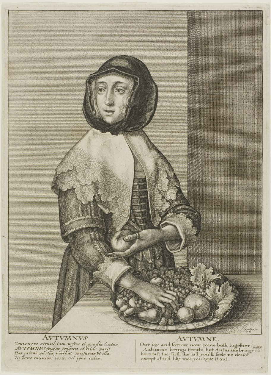 Høst av Wenceslaus Hollar