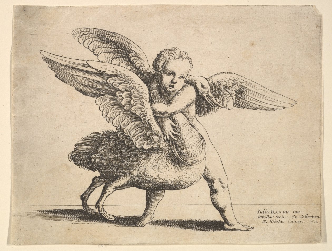 Amor og svanen, 1652. av Wenceslaus Hollar