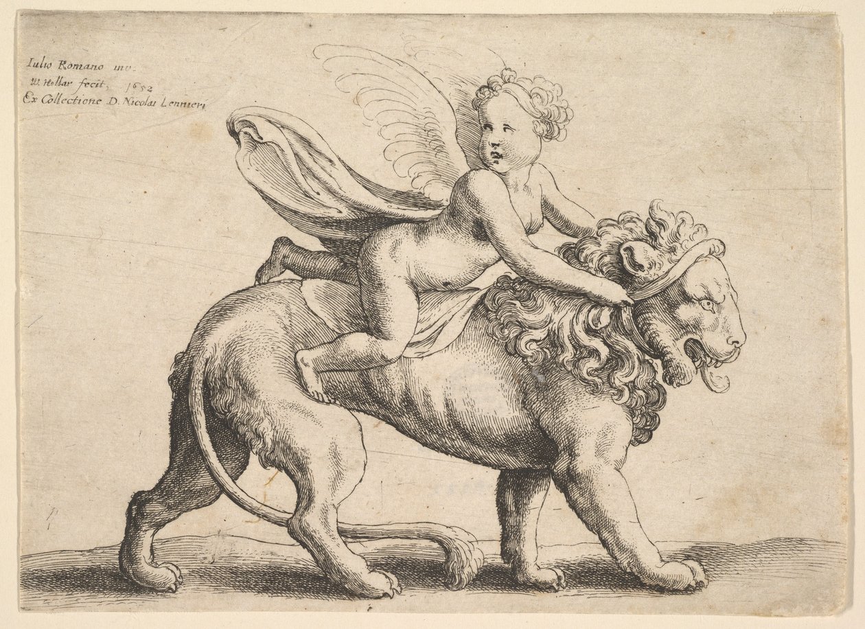 Amor på en løve, 1652. av Wenceslaus Hollar