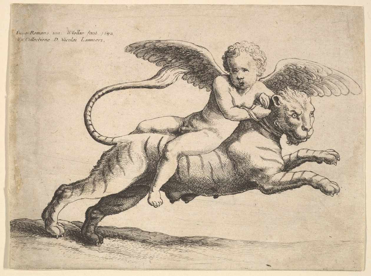 Amor på en tiger, 1652. av Wenceslaus Hollar