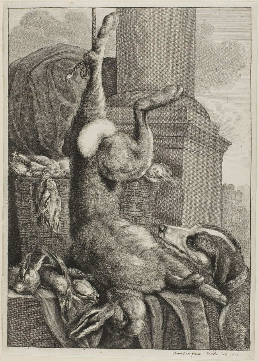 Død Hare av Wenceslaus Hollar