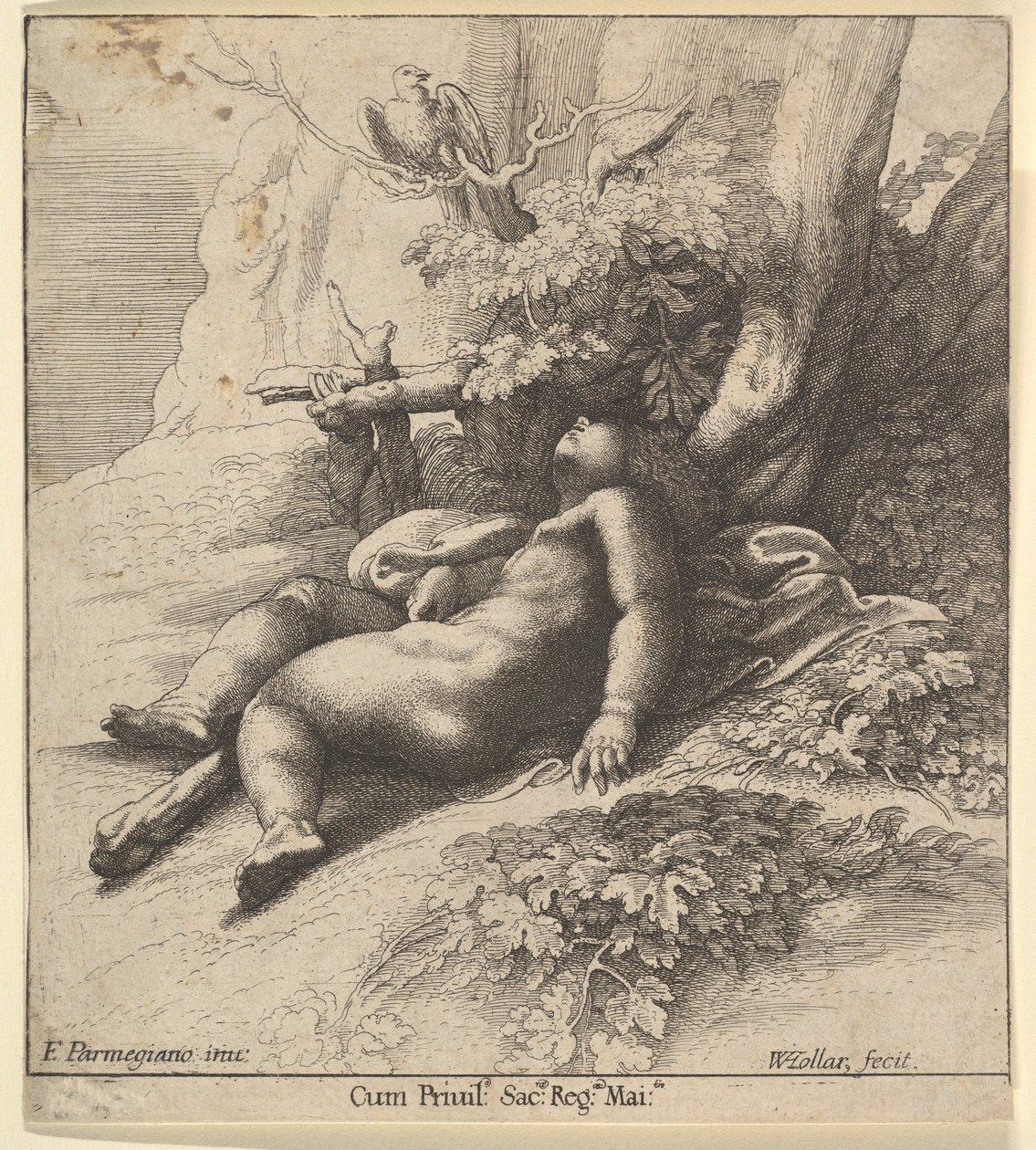 Spedbarnet Hercules sover, 1625-77. av Wenceslaus Hollar