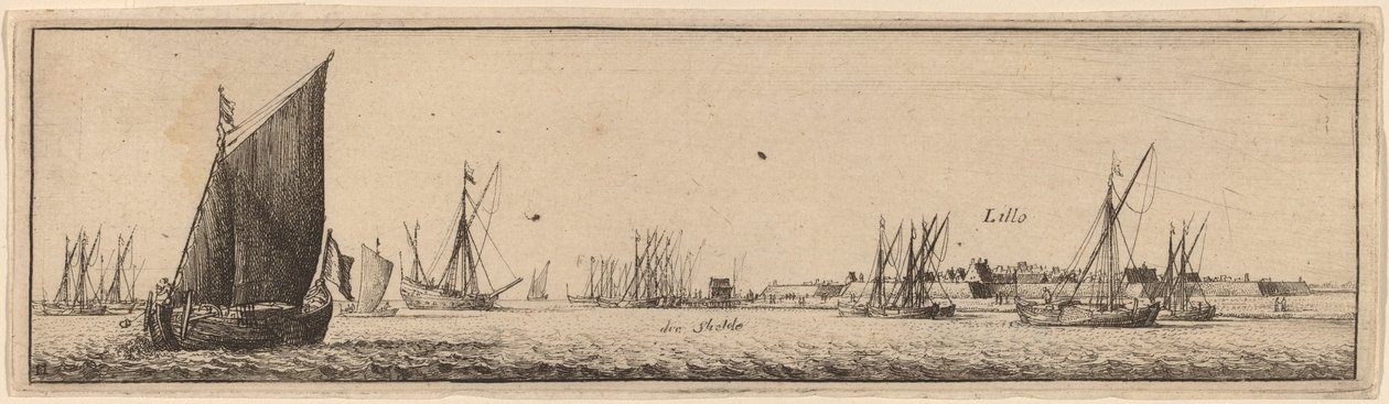 Lillo av Wenceslaus Hollar