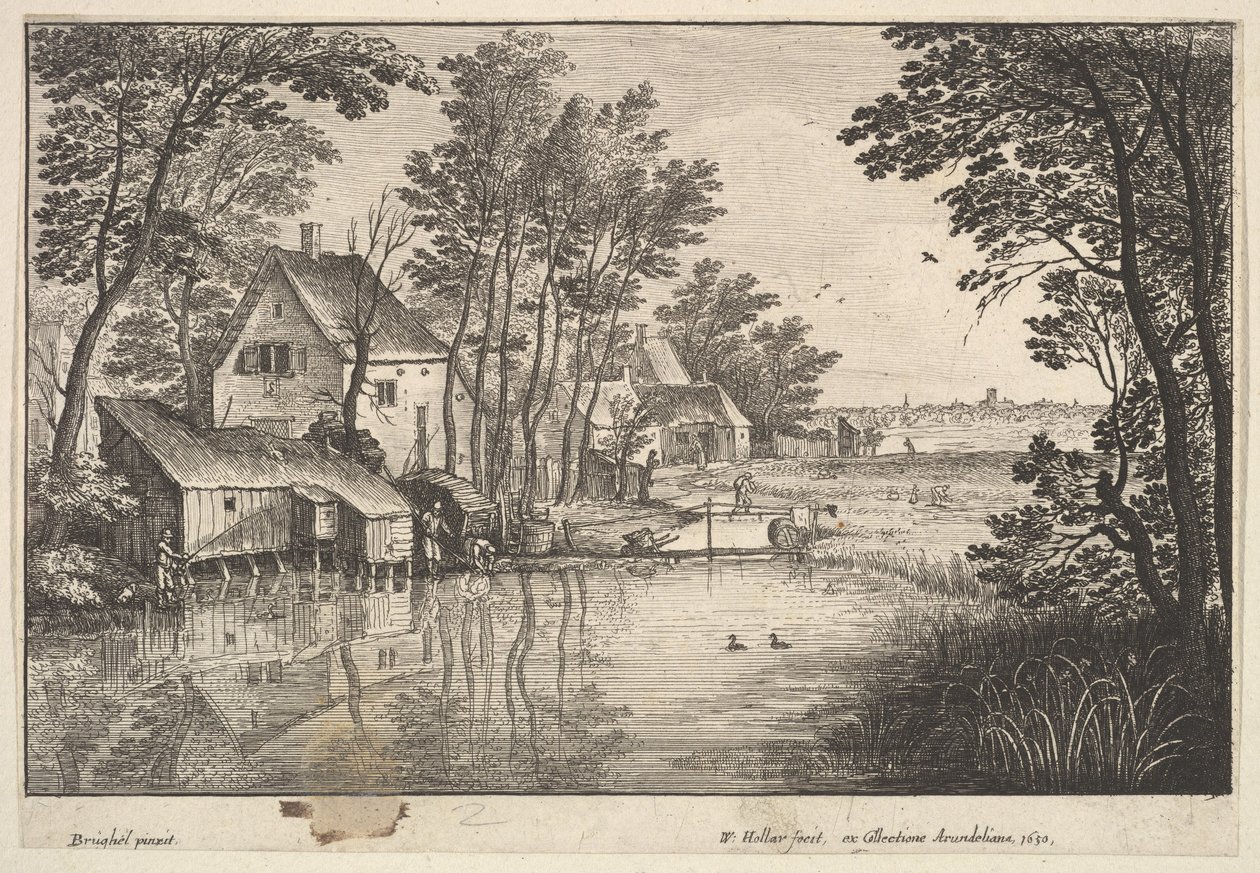 Angleren, 1650. av Wenceslaus Hollar