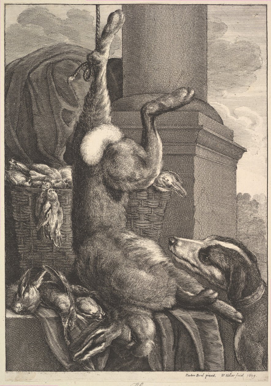 Den døde haren, 1649. av Wenceslaus Hollar