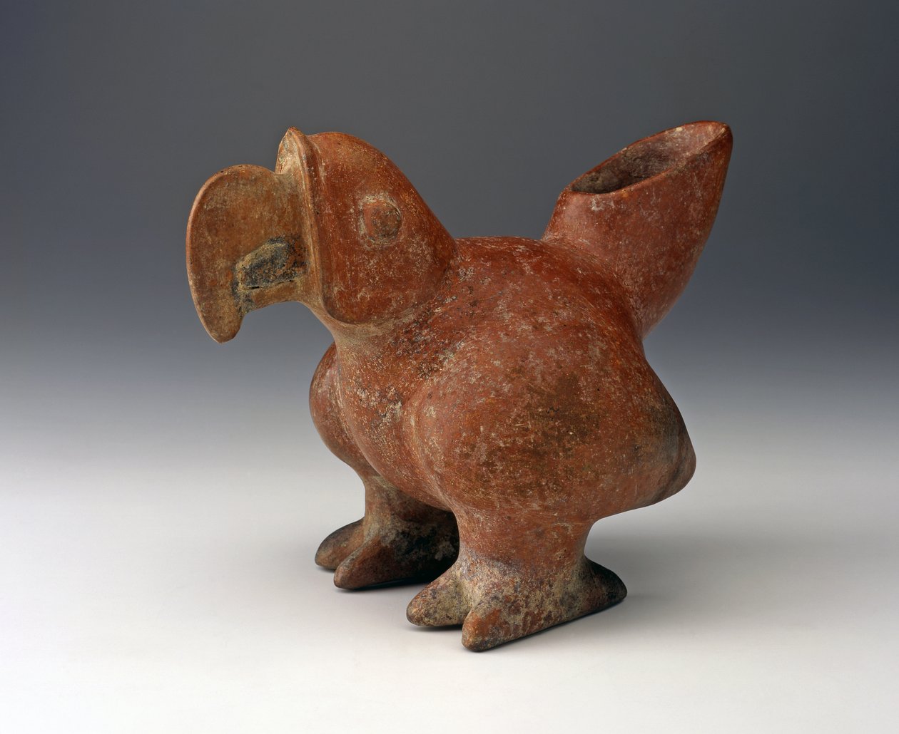 Parrot Effigy Vessel, c.200 BC - 300 C.E. (keramikk med rød slip-maling) av West Mexican