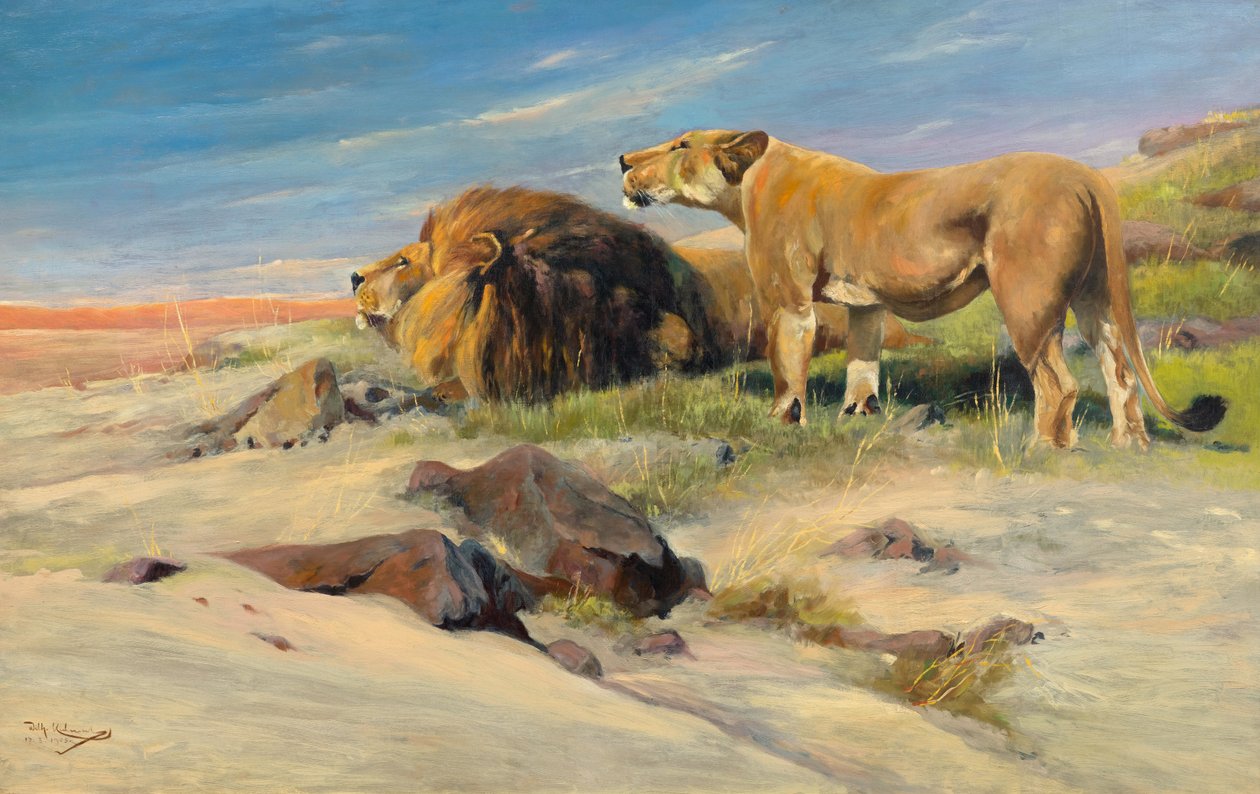 Par løver i steppen av Wilhelm Kuhnert