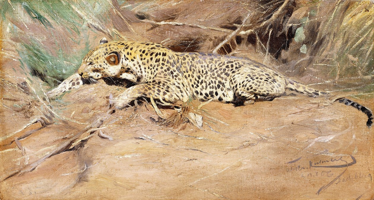 En leopard, av Wilhelm Kuhnert