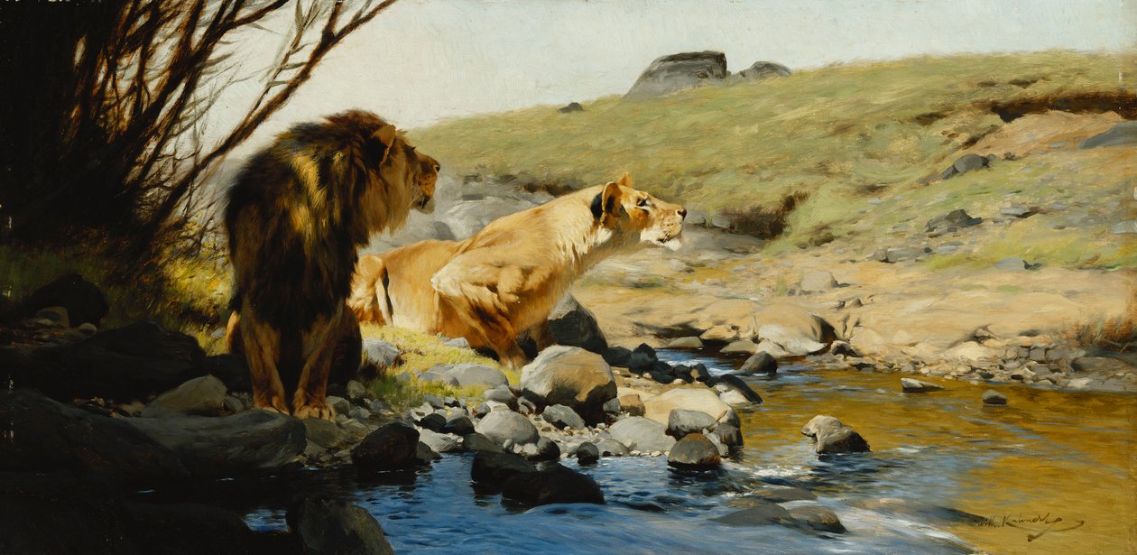 En løve og løvinne ved en bekk, av Wilhelm Kuhnert