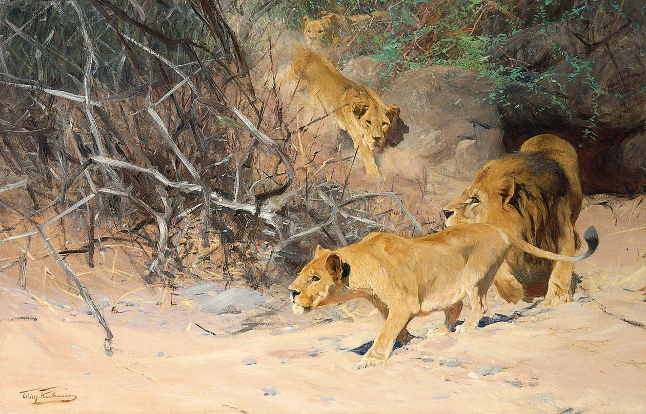 A Pride of Lions on the Prowl av Wilhelm Kuhnert