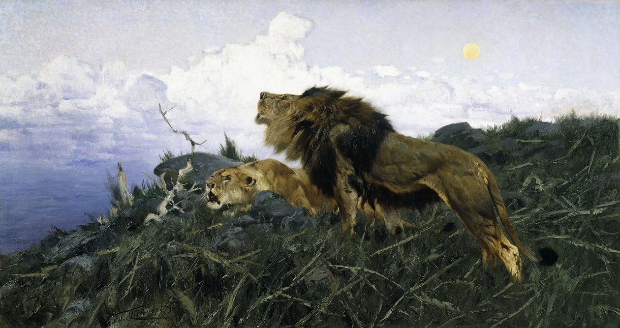 Løver i skumringen, av Wilhelm Kuhnert