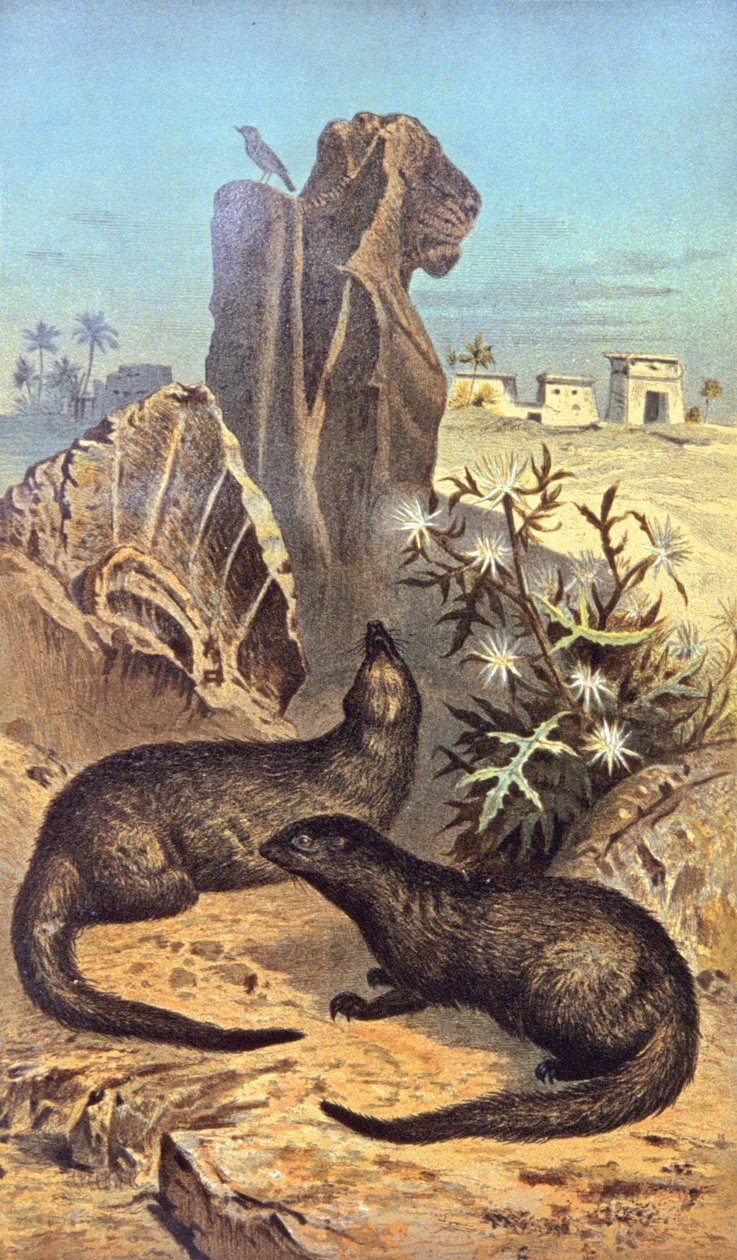 Faraoenes rotte av Wilhelm Kuhnert