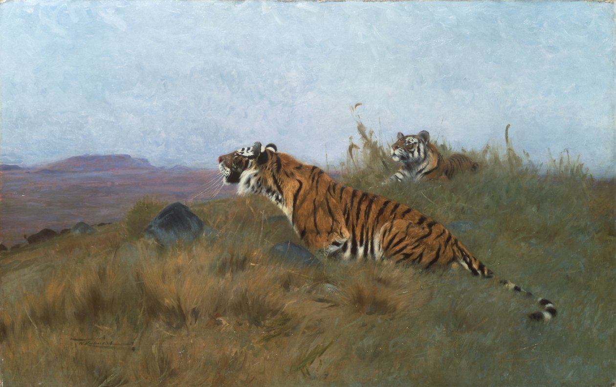 Tigre som forfølger byttet sitt (maleri) av Wilhelm Kuhnert