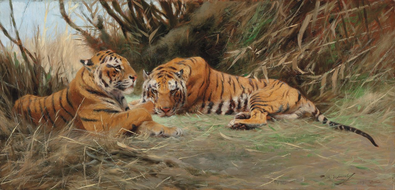 Tigers at Dawn, 1913 av Wilhelm Kuhnert