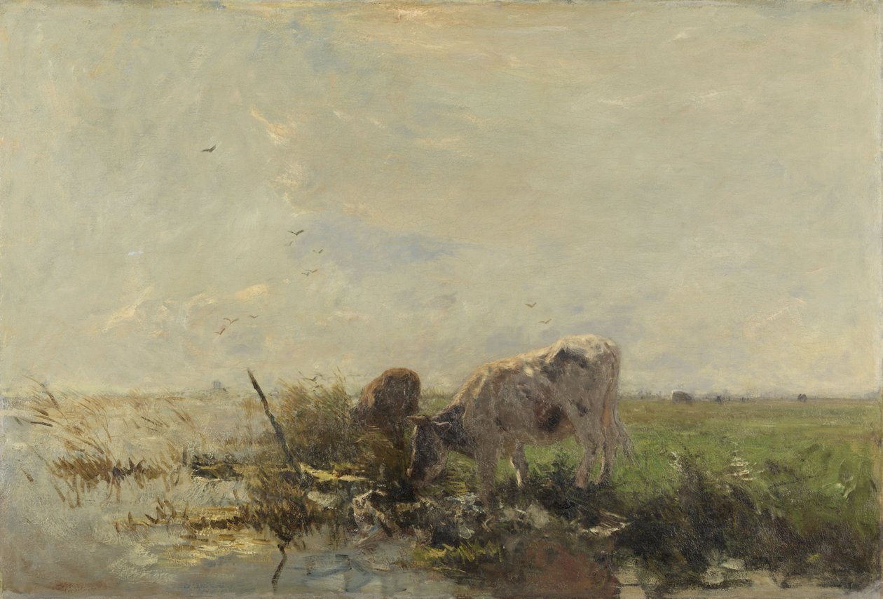 Kyr på en dam av Willem Maris
