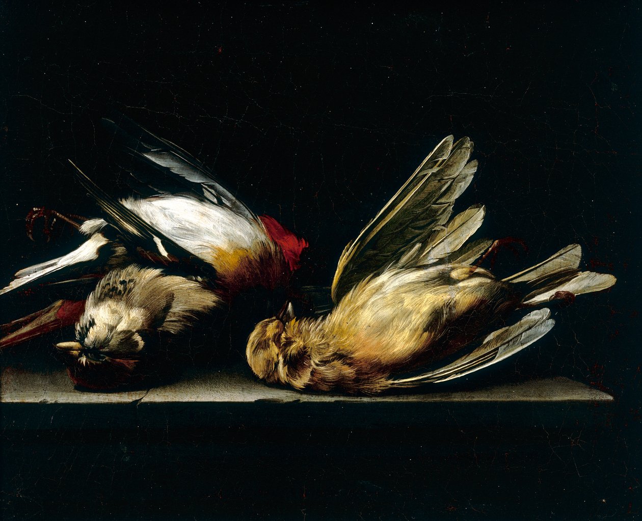 Døde små fugler av Willem van Aelst