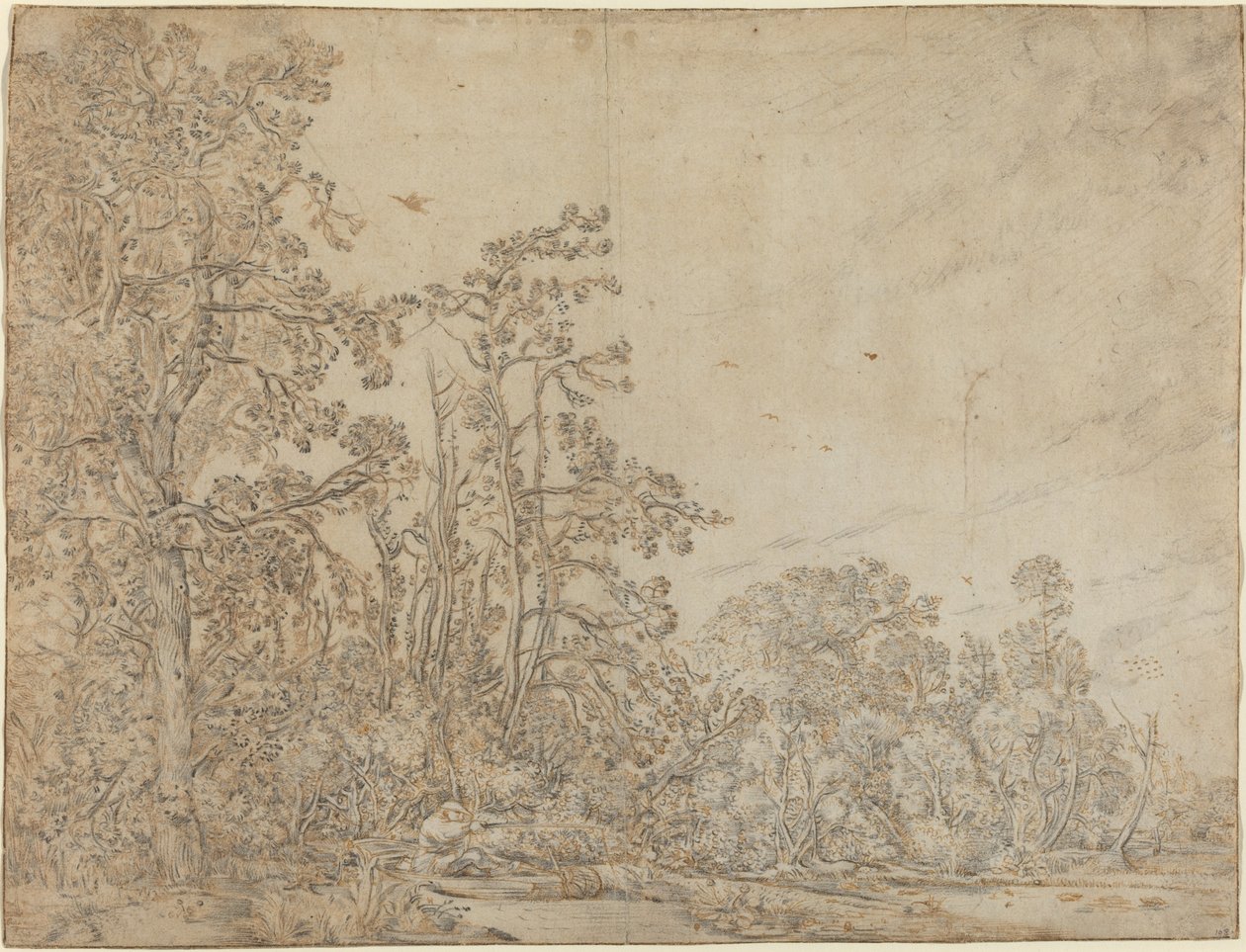 Woodland Pond med en fisker av Willem Buytewech