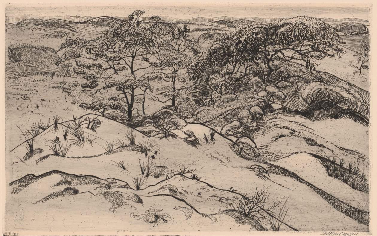 sanddynelandskap av Willem Jansen (graveur) (signed by artist)