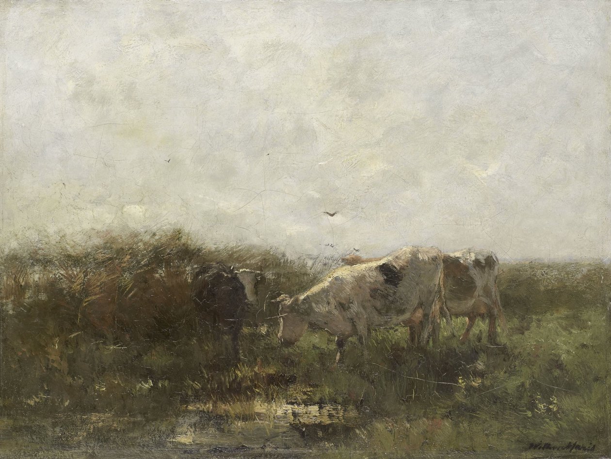 Kyr av Willem Maris