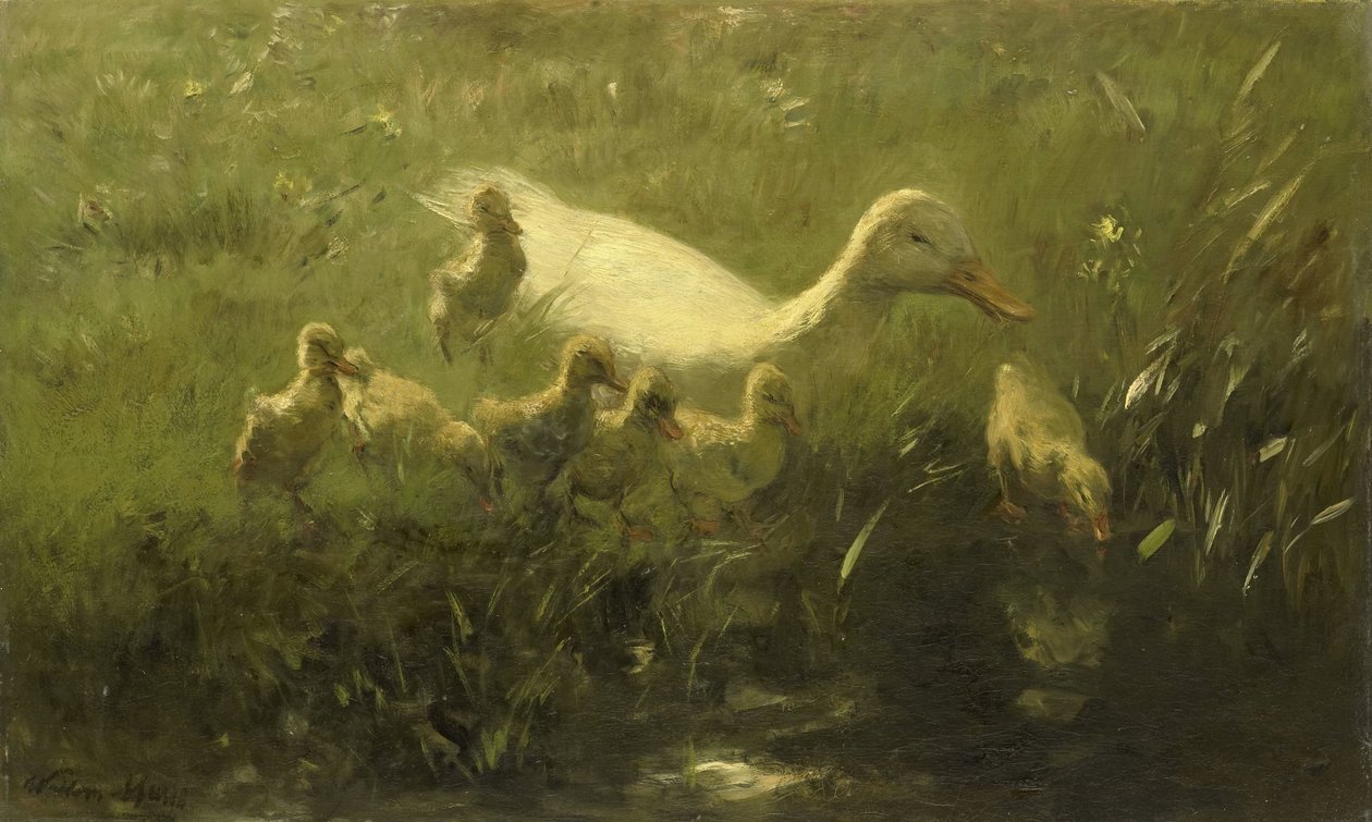 Hvit and med kyllinger av Willem Maris