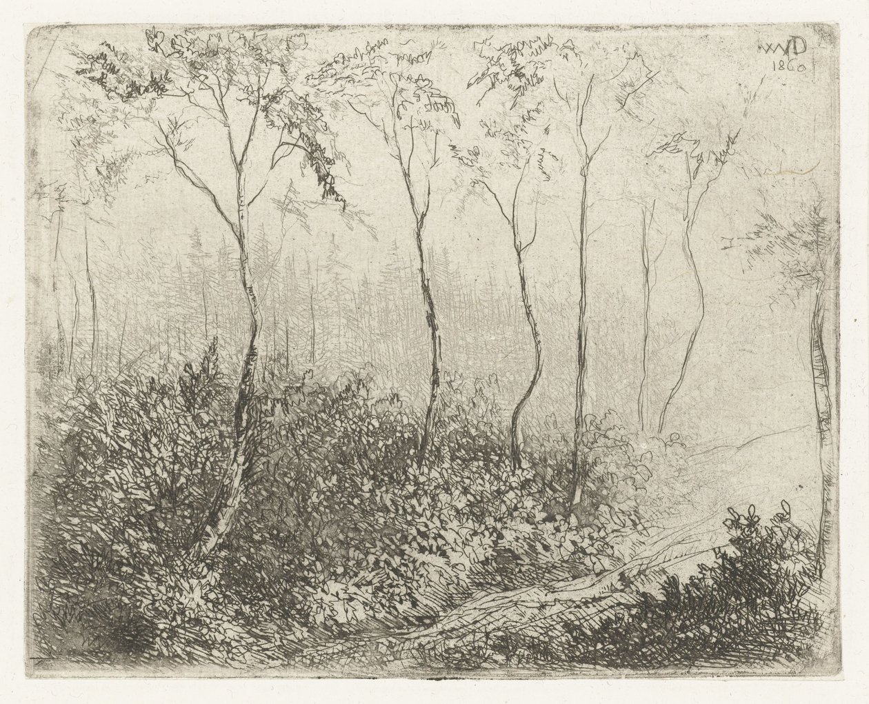 skoglandskap av Willem Matthias Jan van Dielen