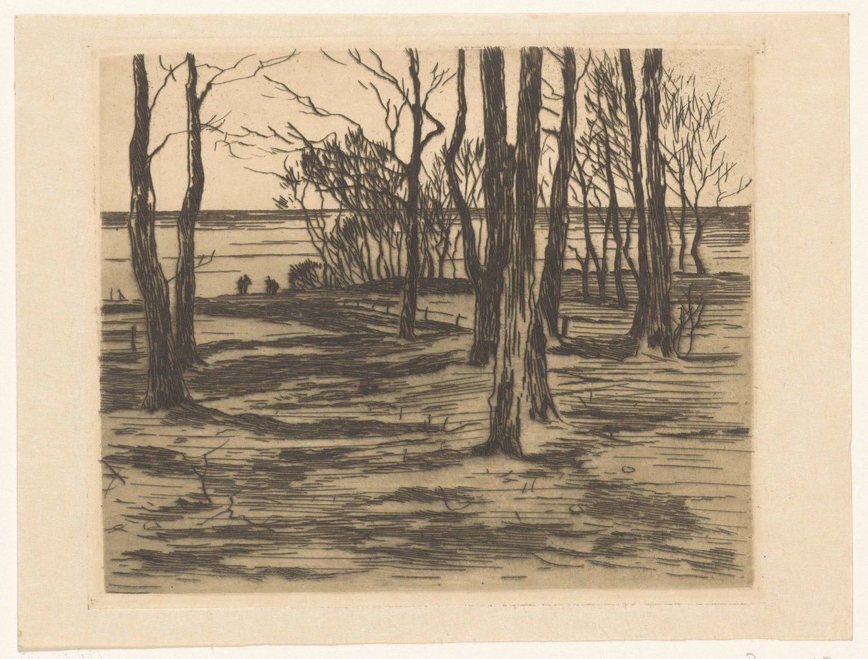 Trær ved vannkanten i Valkeveen av Willem Arnoldus Witsen