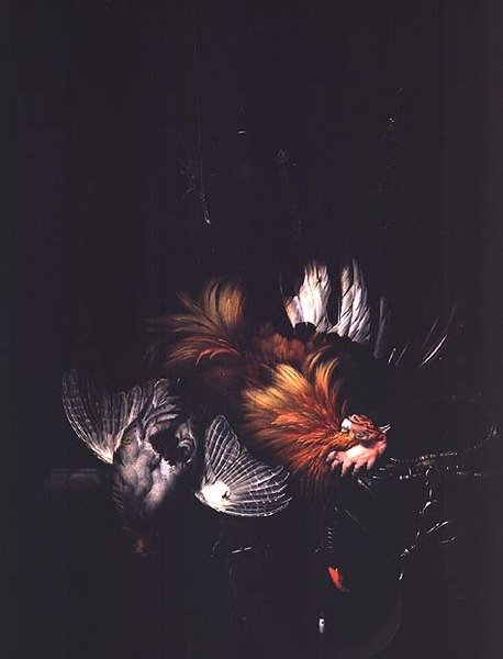 Ukjent bilde av Willem van Aelst