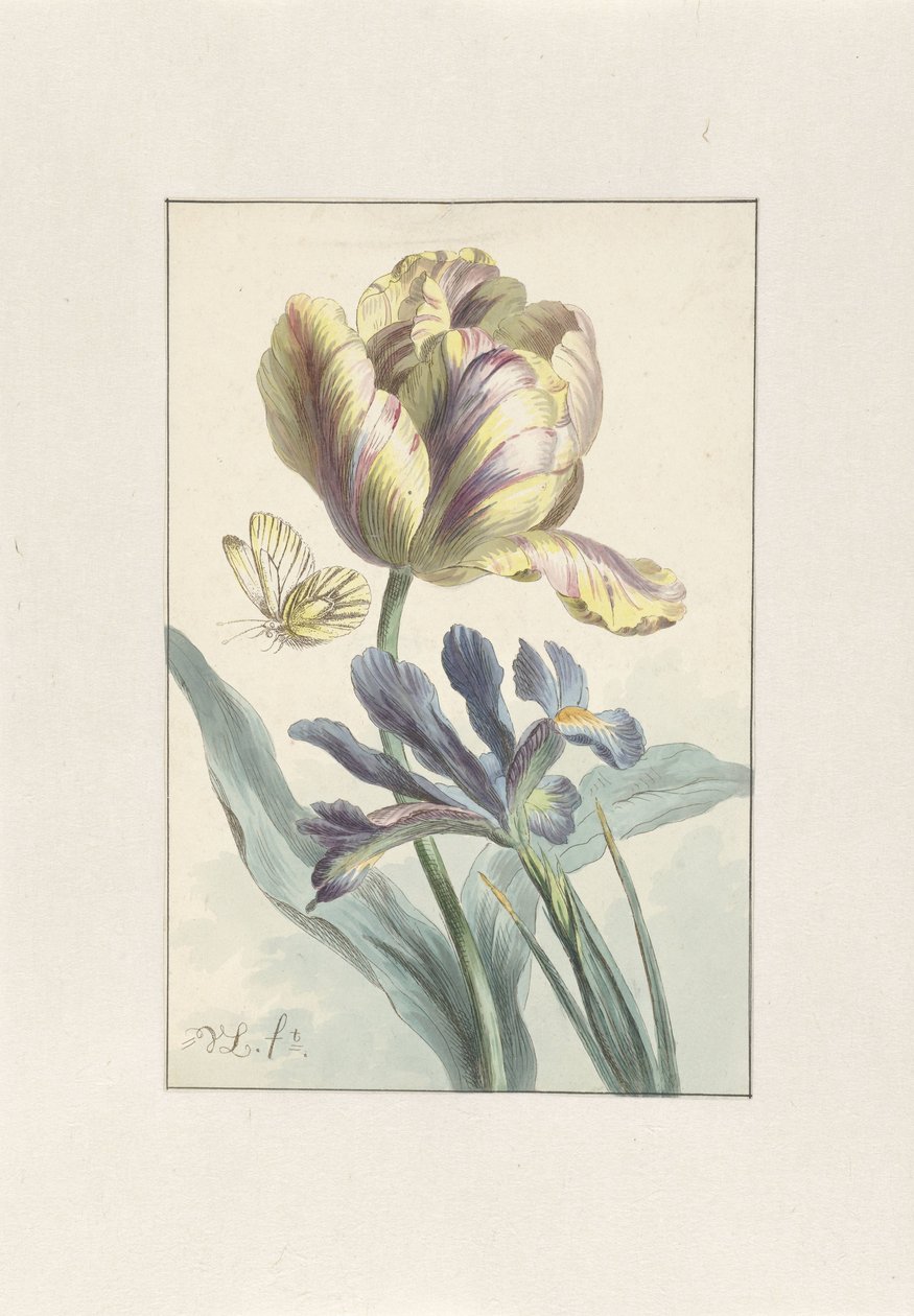 Tulipan og Iris av Willem van Leen