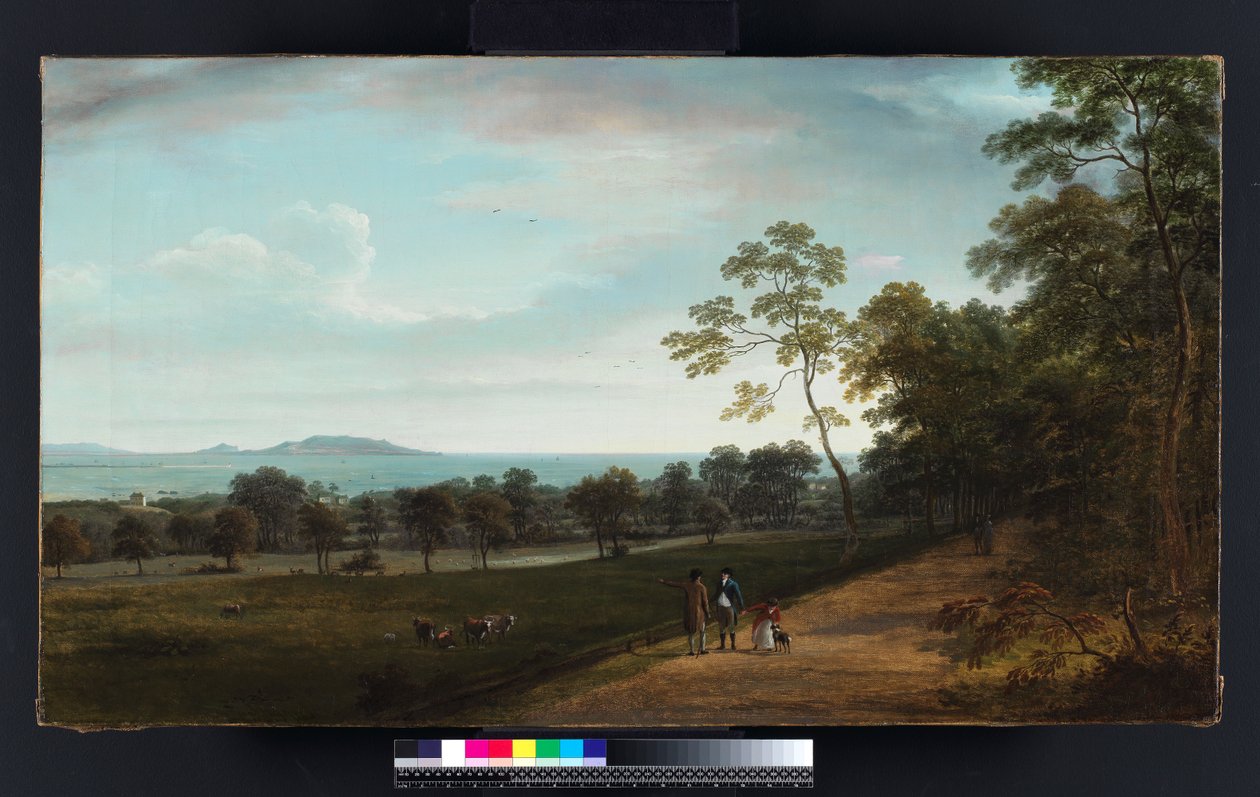 Utsikt i Mount Merrion Park, 1806 av William Ashford