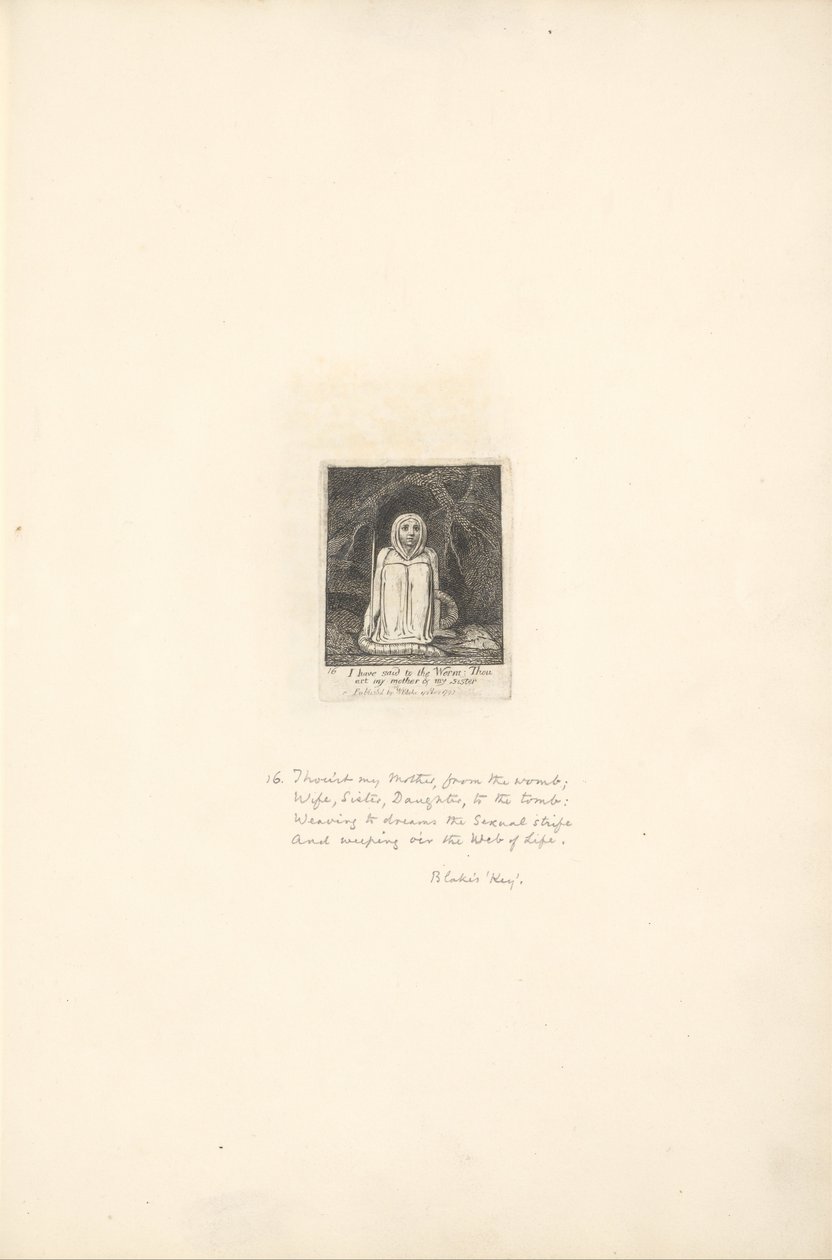 For kjønnene- Paradisets porter, plate 18, har jeg sagt til ormen. . . . av William Blake