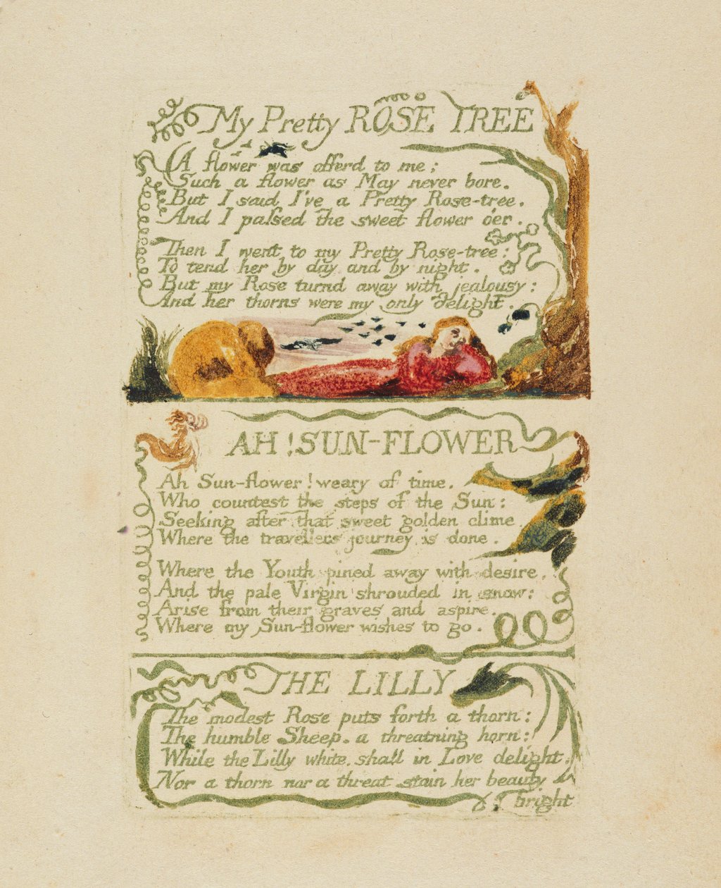 "My Pretty Rose Tree," og "Ah! Sun-flower,