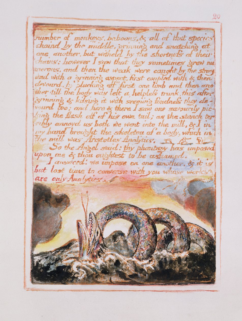 Antall aper, bavianer.., illustrasjon og tekst fra The Marriage of Heaven and Hell, ca. 1790-3 (relieff-etsing ferdig med penn og wc) av William Blake