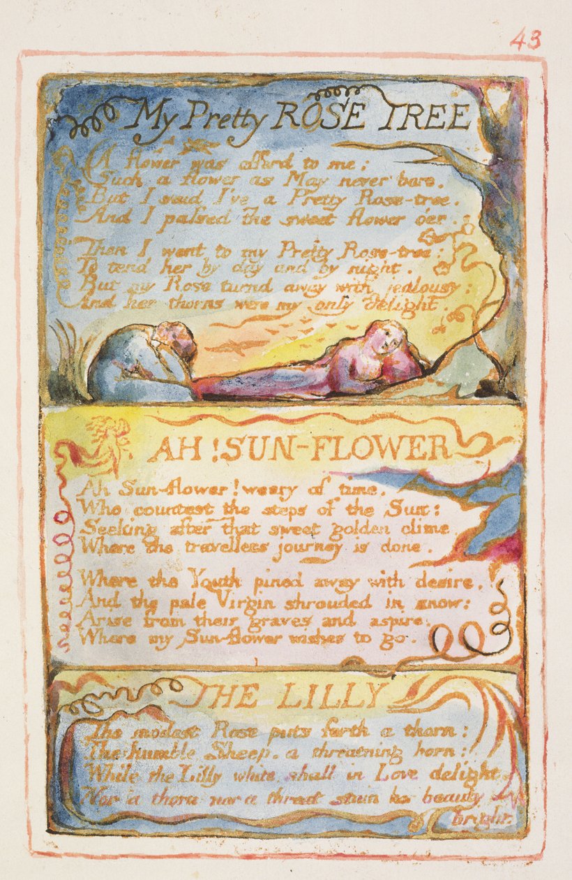 S.125-1950.pt43 My Pretty Rose Tree; Ah! Solsikke; The Lilly: plate 43 fra Songs of Innocence and of Experience (kopi AA) ca. 1815-26 (etsing, blekk og wc) av William Blake